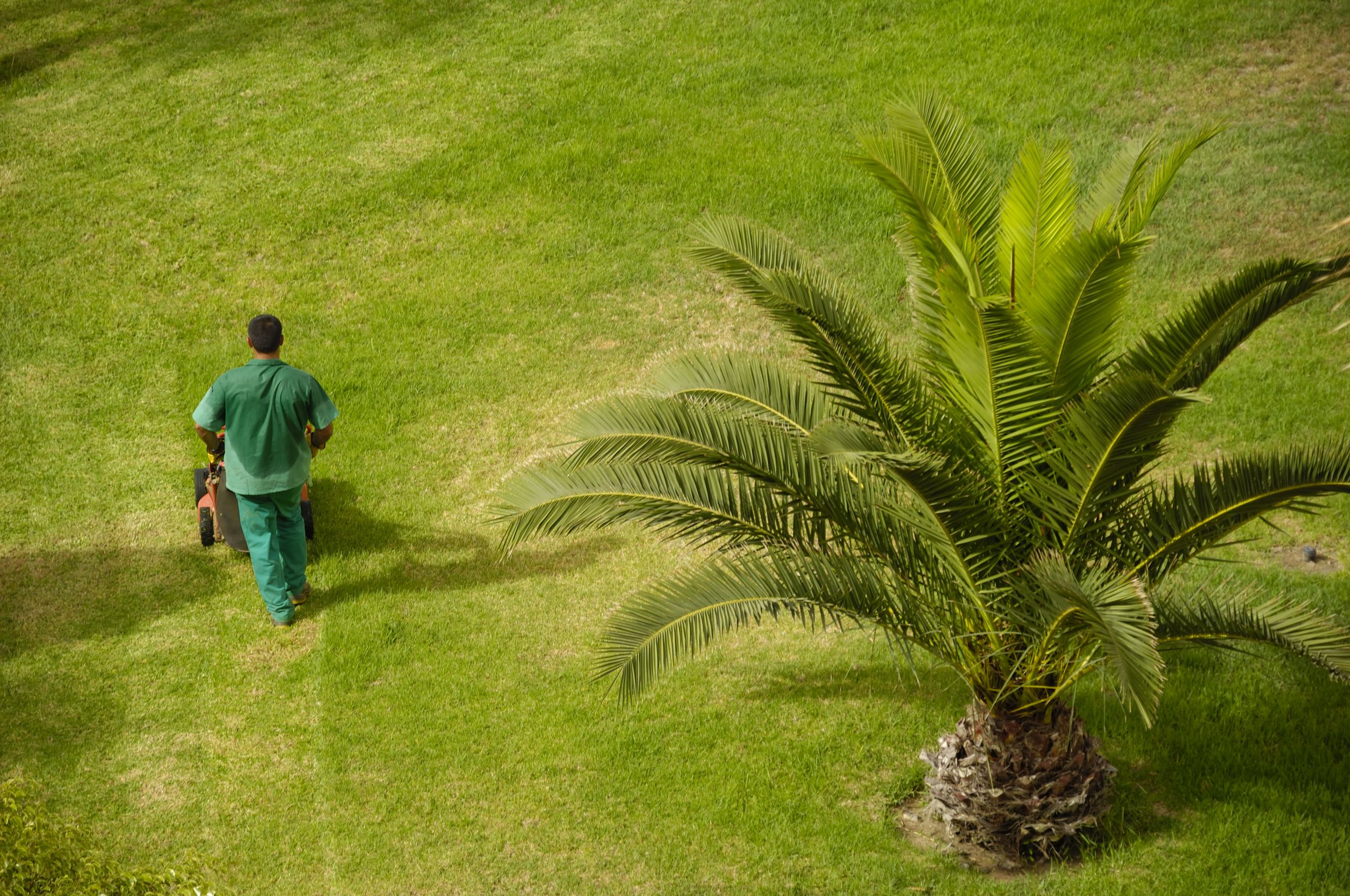 Why Hiring a Landscape Architect St. George LA Is Essential for Lasting Beauty