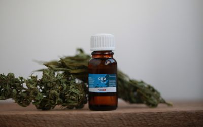 Experience Premium Products and Service at the Best Dispensary Steamboat Springs CO has for Locals