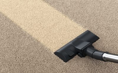Discover Why Choosing the Best Carpet Cleaning Service in Madison, WI, Matters for Safer, Fresher Homes