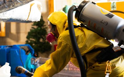 What to Expect from Biohazard Cleaning in Macon, GA, for Safe Home Environments