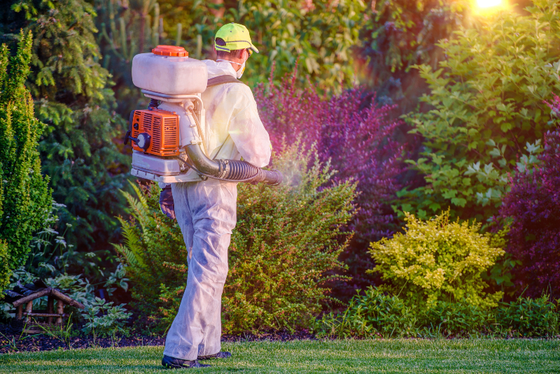 Gain Peace of Mind Outdoors by Choosing Exterior Pest Control Land O Lakes FL Treatments