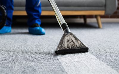 Health Benefits Your Office Gains from Commercial Carpet Cleaning Services St. Charles IL
