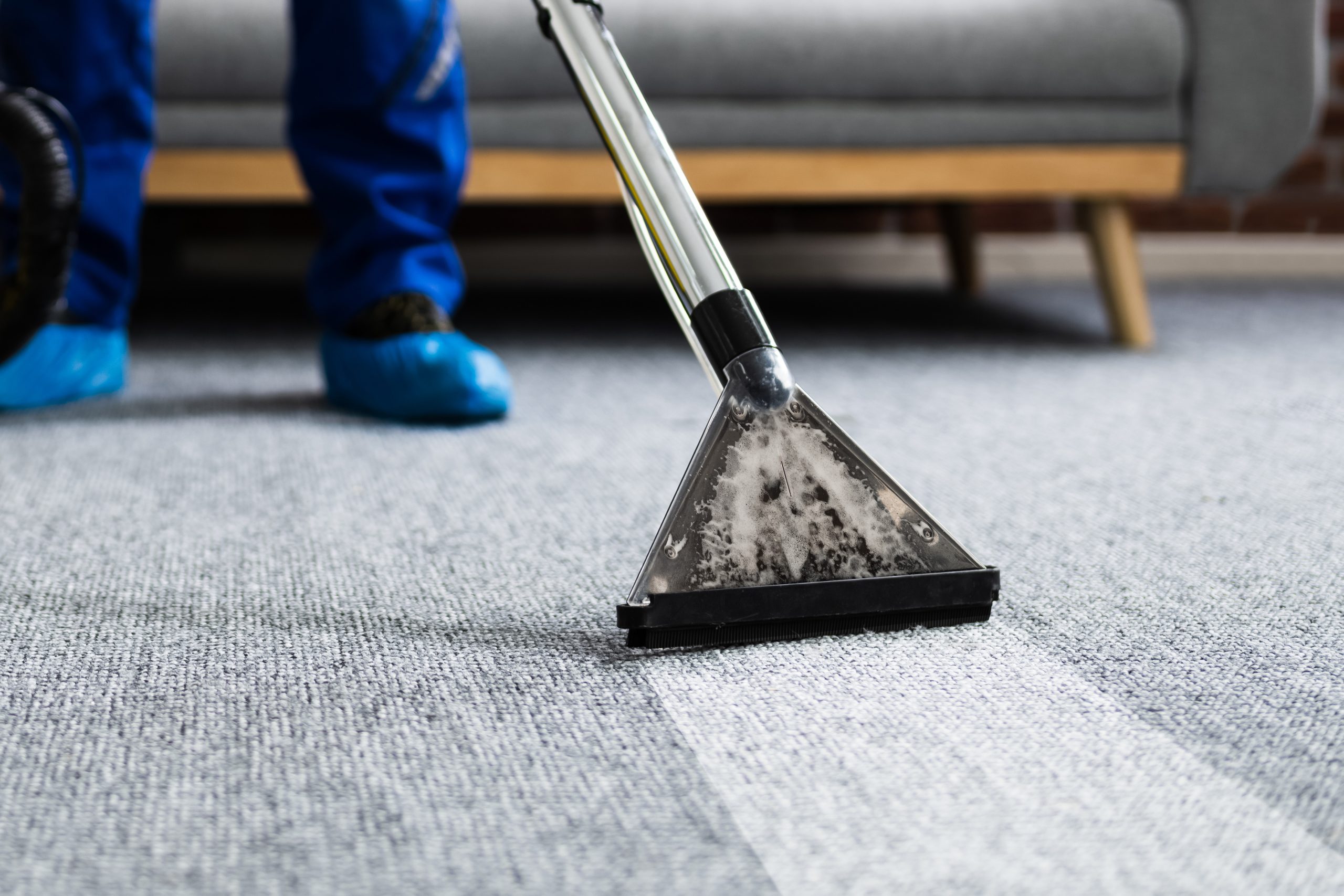 Creating a Healthier Home Environment with Carpet Services Mishawaka IN Solutions