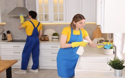 Keep Allergens Away Using Home Cleaning In Lincoln, CA: Solutions for Healthier Homes