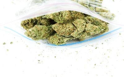 Unlock Premium Wellness When You Buy THCA Flower Online for Fast Discreet Shipping in the USA