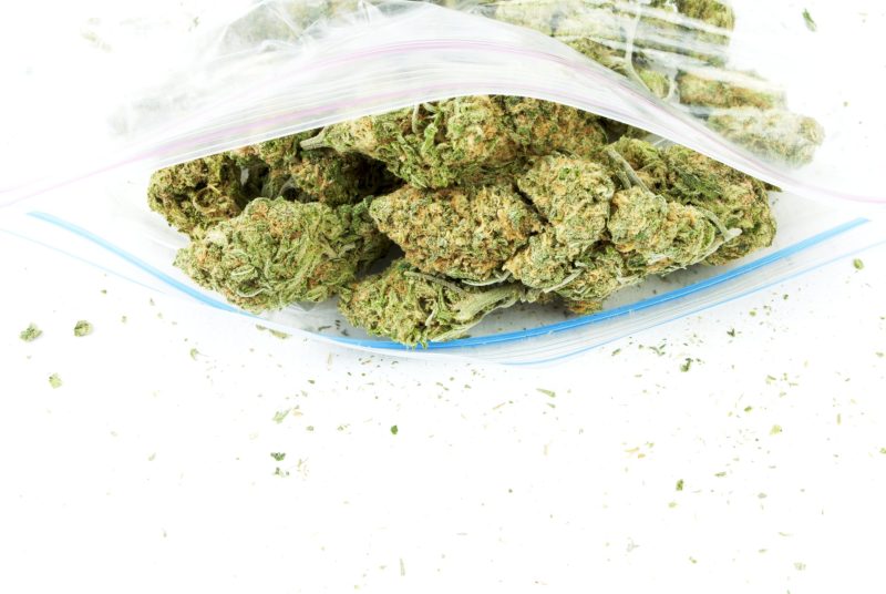 Unlock Premium Wellness When You Buy THCA Flower Online for Fast Discreet Shipping in the USA