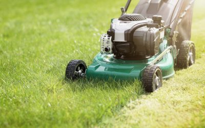 Improve Your Lawn’s Health With Lawn Aeration Service in Germantown, TN: Benefits