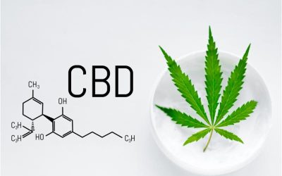 A Guide to Safe and Legal THC Edibles in Dallas, TX for First-Time Users