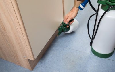 Benefits You Gain by Using Local Pest Control Services Christiansburg VA for Family Safety