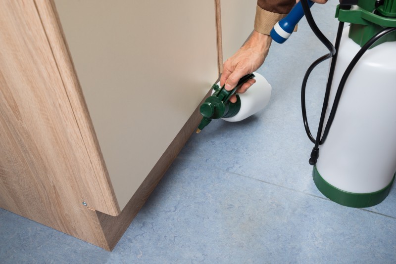 Benefits You Gain by Using Local Pest Control Services Christiansburg VA for Family Safety