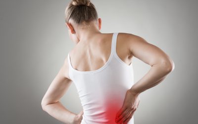 Understanding the Relationship Between Chiropractic Adjustments and Immune Function