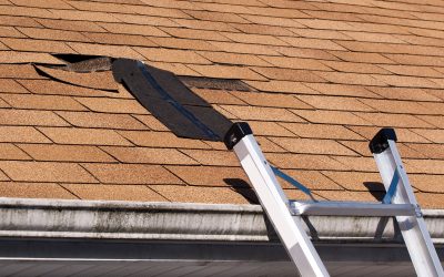 Strength and style meet with metal roof panels in Englewood, CO for lasting protection