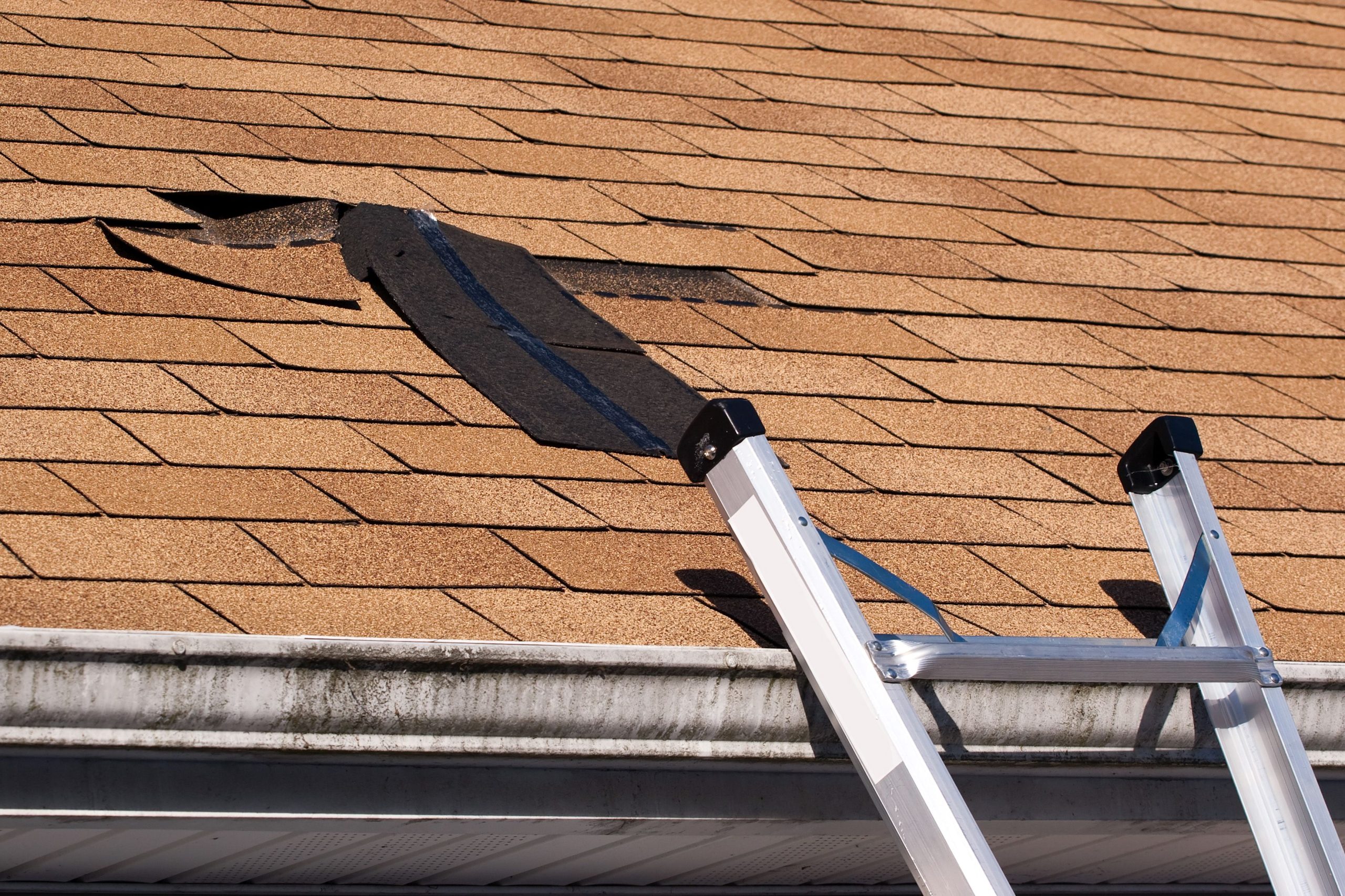 Strength and style meet with metal roof panels in Englewood, CO for lasting protection