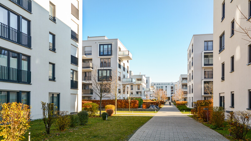 Find Your Perfect Match with Pet-Friendly Apartments Washington DC Residents Love