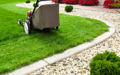 Unlock Greater Property Value through a Commercial Landscape Service in Mount Washington KY