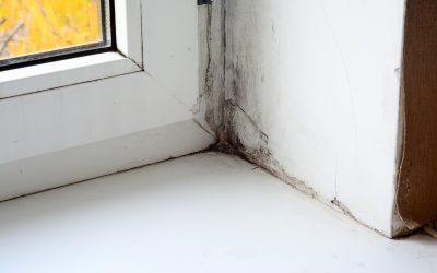 Safeguard Your Home Fast With Emergency Water Removal Riverton WY Services