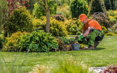 Transform outdoor spaces with a trusted Commercial Landscape Contractor Boca Raton FL