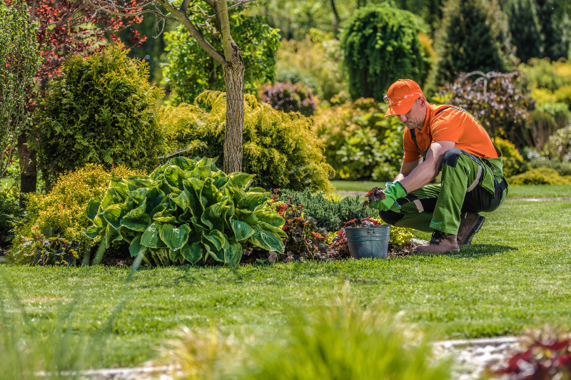 Transform outdoor spaces with a trusted Commercial Landscape Contractor Boca Raton FL