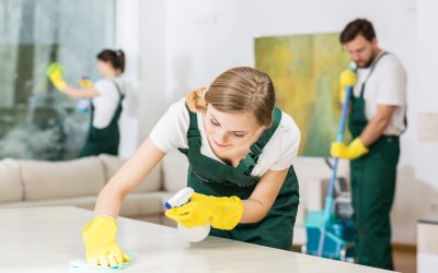 Searching for Cleaner Workspaces Trust a Janitorial Cleaning Company Traverse City MI Businesses Rely On