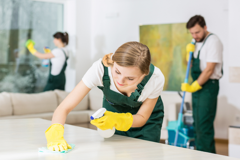 Searching for Cleaner Workspaces Trust a Janitorial Cleaning Company Traverse City MI Businesses Rely On