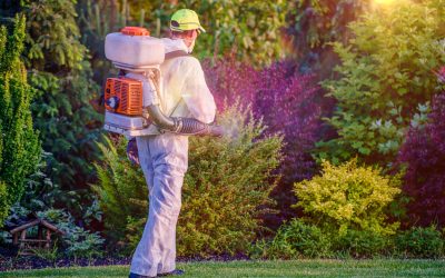 Common Mistakes to Avoid When Choosing Mosquito Treatment in Gainesville, VA